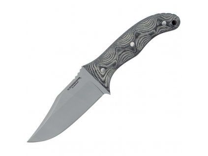 Condor Little