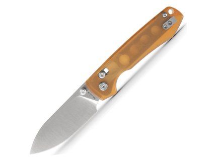 Raccoon A0531 1