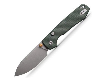 raccoon A2904 1