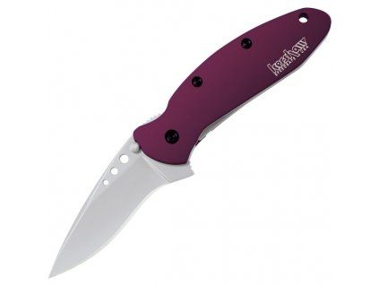 Kershaw Scallion 1620PUR