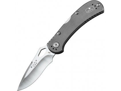 Buck SpitFire Lockback