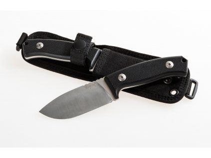 m2 g10