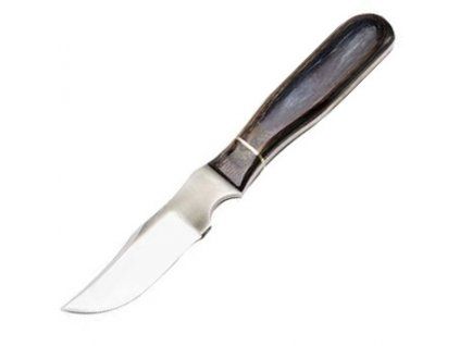 ANZA Full Tang Clip Point Hunte