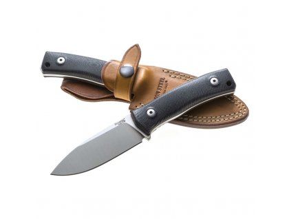 LionSTEEL M4 G10