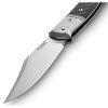 LionSTEEL Gitano Carbon fibre