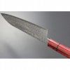 Kanetsune Minamo Kaze Wa-Santoku 180mm s Pouzdrem
