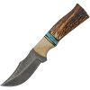Damascus Stag