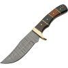 Damascus Hunter Horn Walnut