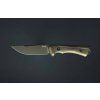 acta non verba p200 olive cerakote olive grnpu kydex