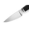 lionsteel willy black g10