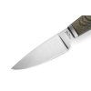 lionsteel willy green canvas