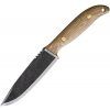 Condor Austral American Hickory