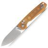 Raccoon A0531 1