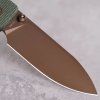 Raccoon A2907 8