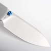 Raccoon A2906 8