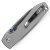 Raccoon A2906 2