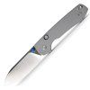 Raccoon A2906 1