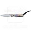 Chris Reeve Small Sebenza 31 Unique Graphic MagnaCut