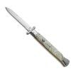 AKC WORLD swinguard 33 Imitation Pearl polish 1
