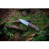lionsteel m4 walnut 10
