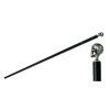 Dragon King Skull Cane Carbon Fiber